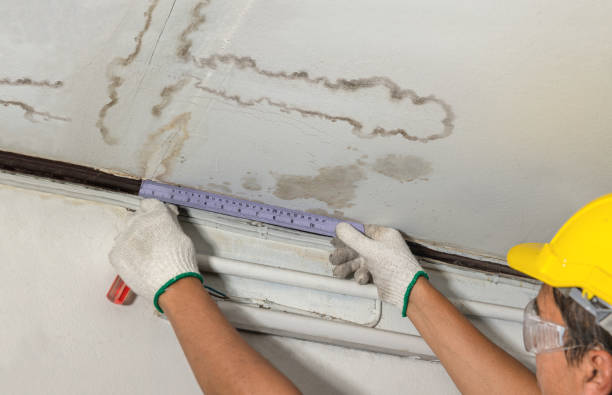 Reliable Sewage Cleanup contractor in West Chesterfield, MA by Water Damage Irwin